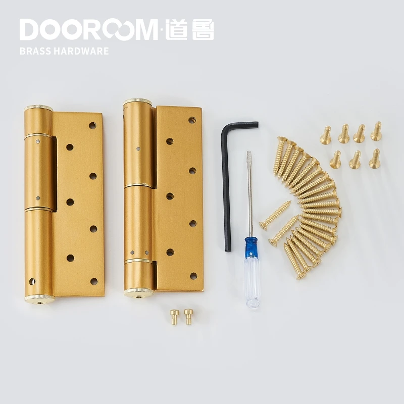 Dooroom Invisible Hydraulic Door Hinges Automatic Door Closing Buffer Damping Hidden Spring Hinges