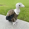 Vulture High Fidelity Anime Condor Bald Eagle Plushie Buzzard Plush Toys Lifelike Animals Simulation Stuffed Doll Kawai Toy Gift 3