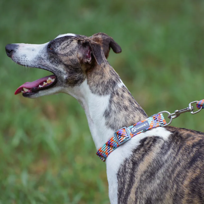 Dog Collar Nylon Adjustable Reflective Pet Collars with Metal Buckle and Quick Release Buckle Large and Medium