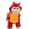 Crab Costume For Dog Dog Cat Halloween Crab Costume Pet Clothes Warm Outfits Clothes Puppy Red Hoodie For Halloween Party 1