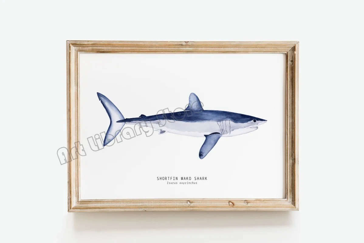Marine Life Ocean Animals Canvas Art Poster - Whales, Sharks, and Turtles