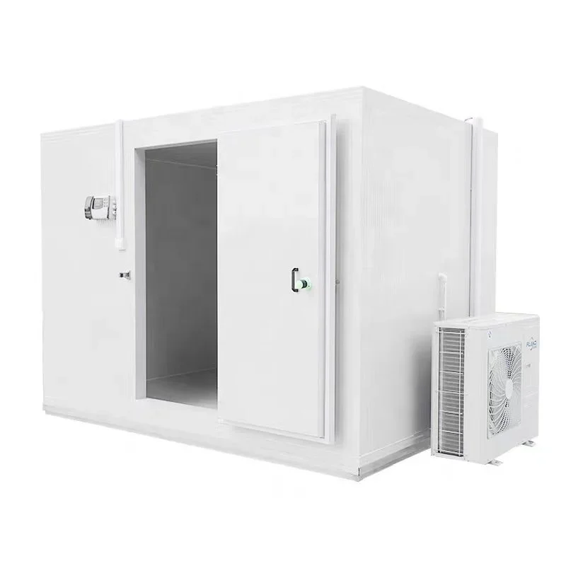 Industrial Blast Walk In Freezer Meat Storage Cold Cool Room For Sale