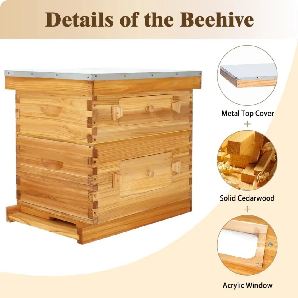 10-Frame Langstroth Bee Hive, Starter Kit with Beehive Frame and Waxed Foundation, 1 Deep Beehive Box & 1 Medium Box