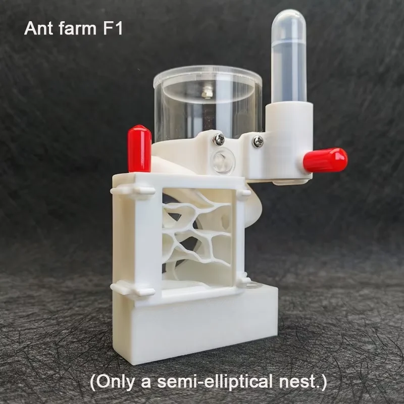 3D Print Three-dimensional Ant Farm With External Water Feeder Bionic Ants Nest Pet Anthill Ant House Insect Box Children's Toys Ant Farm Supplies Insect Observation Box Insect Cage Ant Farm