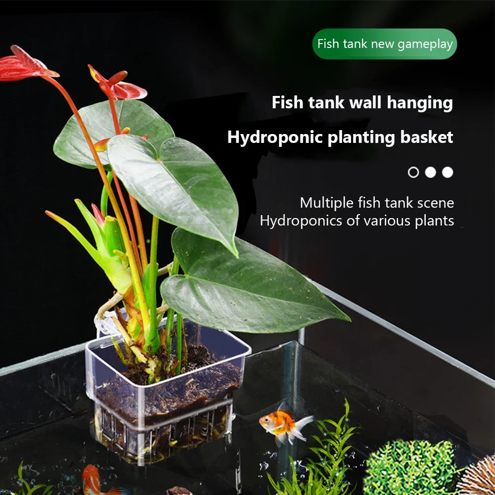Hanging Aquarium Planter Cups Wall Mounted Aquatic Plants Holder Aquarium Planter Basket Fish Tank Plants Pot Fish Tank