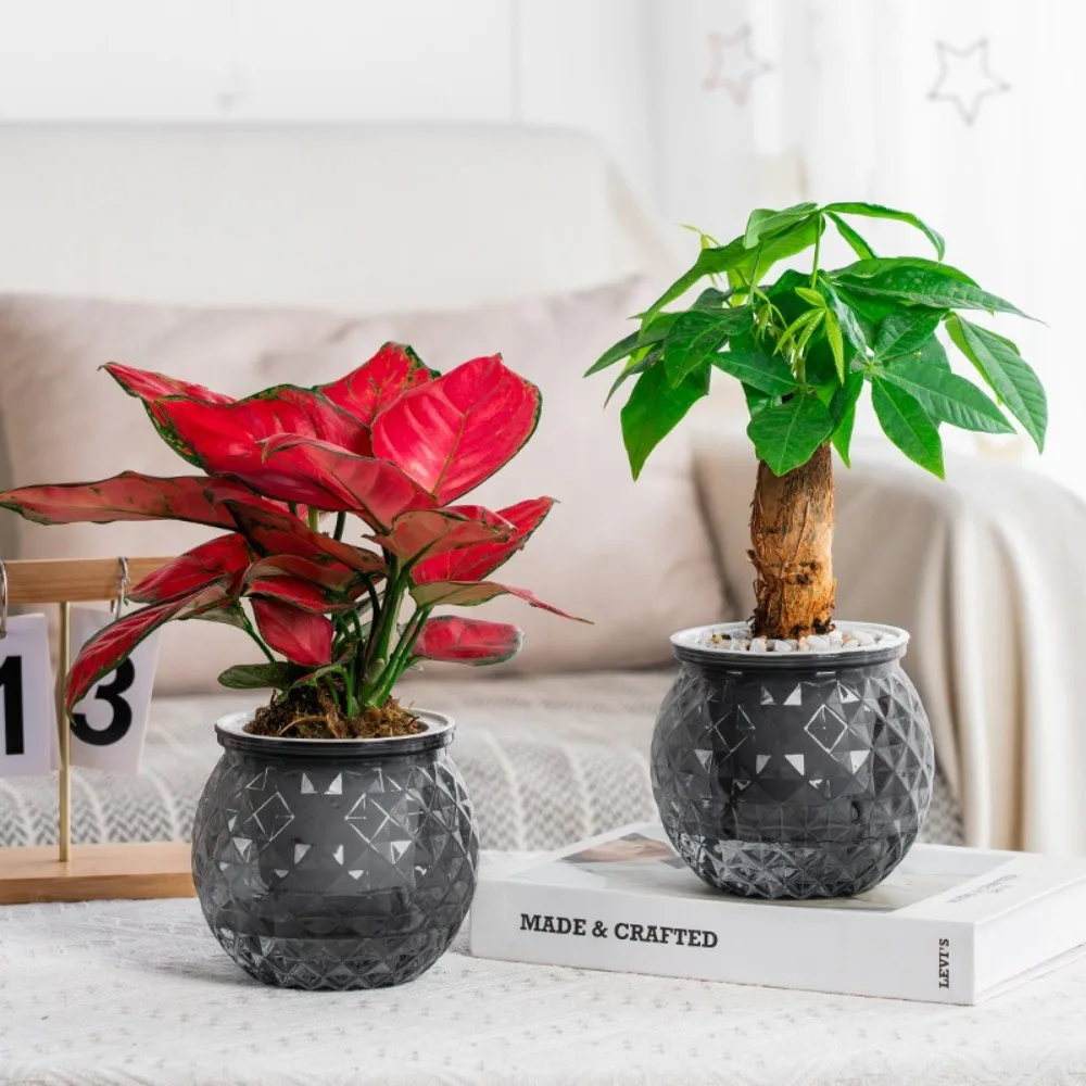 Plastic Self Watering Hydroponic Planter Pot for Indoor Plants