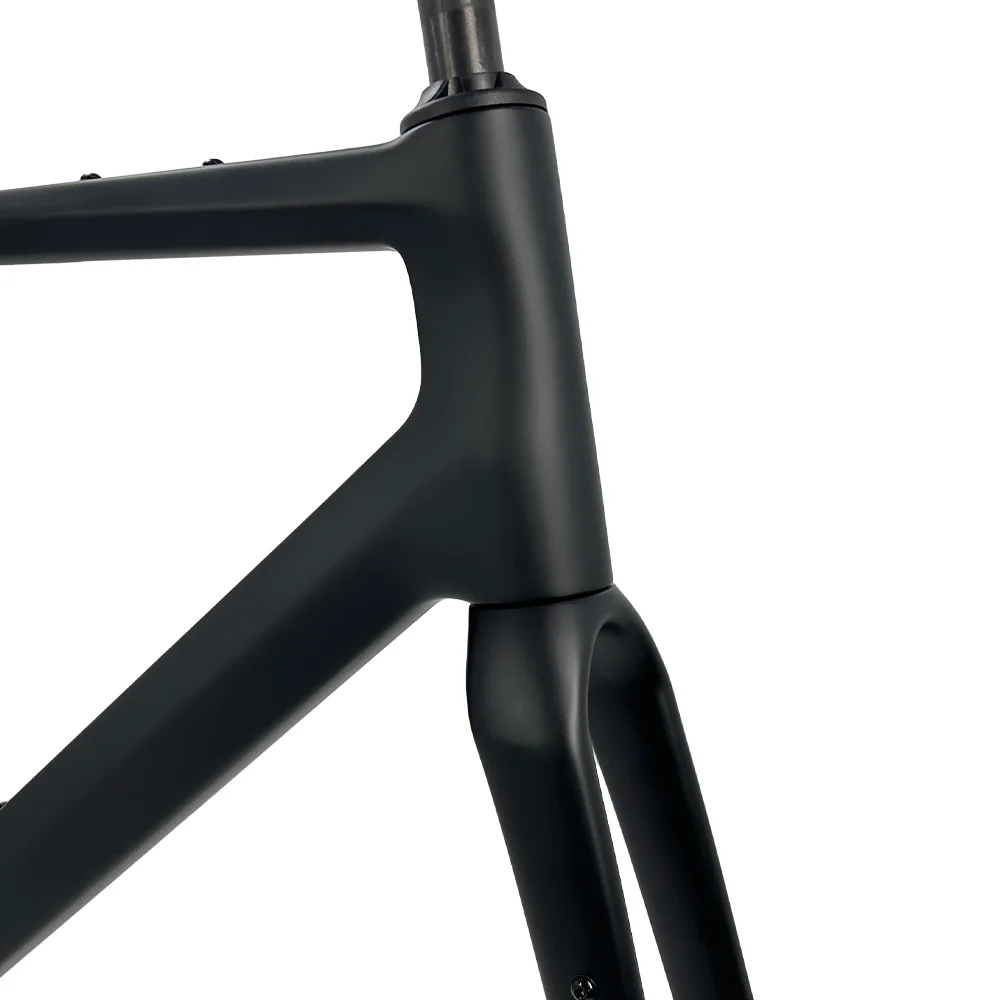 2025 NEU G40 Carbon Gravel Rahmen 160/180 Scheibenbremse 700C * 50C UDH T47 Verstecktes Kabel Gravel Fahrradrahmenset Rennrad EPS Formteil – Detail 7