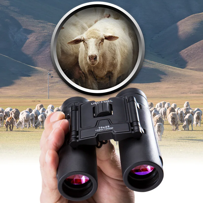 

10x25 Camping Hunting Scopes Binoculars with Bag Free Shipping Waterproof Folding Telescopes Bak4 Prism Optics Binoculares