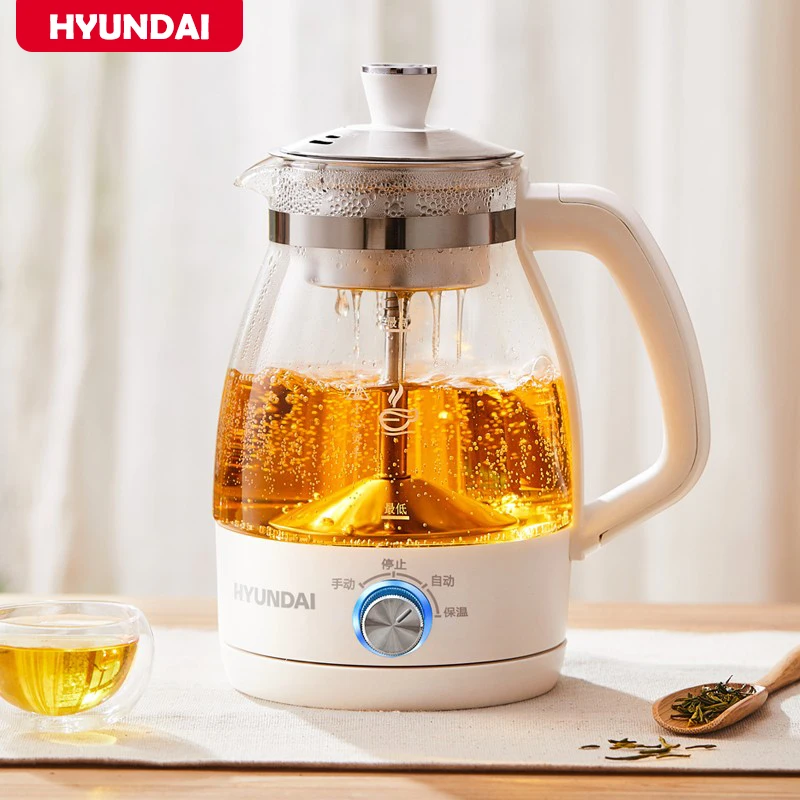 1L Electric Kettle Tea Maker Health Preseving Pot Glass Tea Infuser Pot  Automatic Keep Warm Water Kettle with Filter 220V - AliExpress