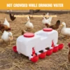 10KG Self Filling Automatic Chicken Waterer with 10 Cup Poultry Dispenser Waterer Chicken Waterer Feeder for Pigeon Duck Goose