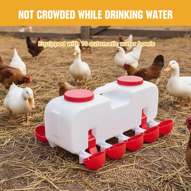 10KG Self Filling Automatic Chicken Waterer with 10 Cup Poultry Dispenser Waterer Chicken Waterer Feeder for Pigeon Duck Goose