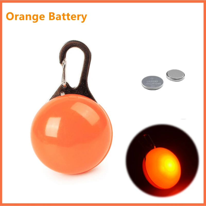 Radiant LED Pet Collar and Leash Accessory