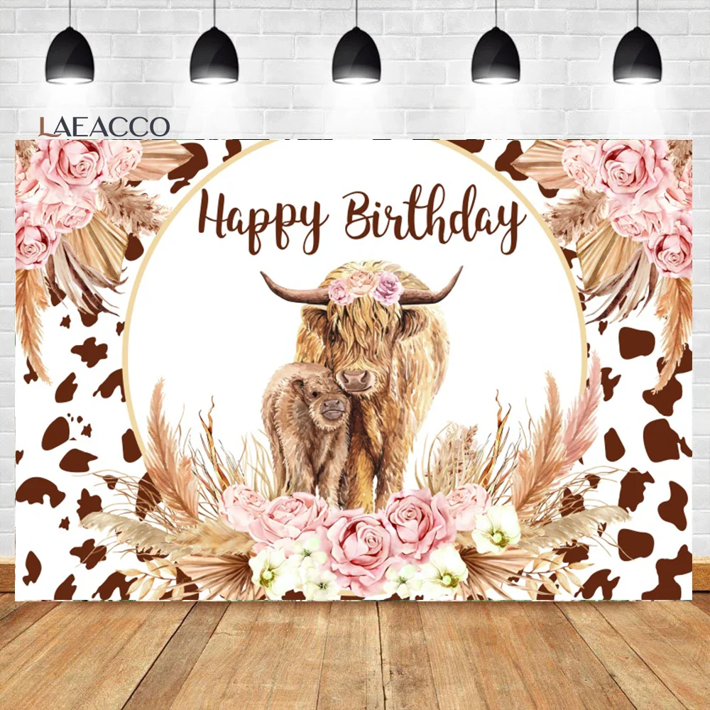 Laeacco ̷  ̺   äȭ   ҳ ҳ    ʻȭ  