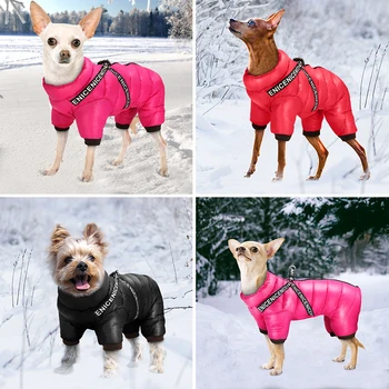 Winter Dog Jacket with Harness 5