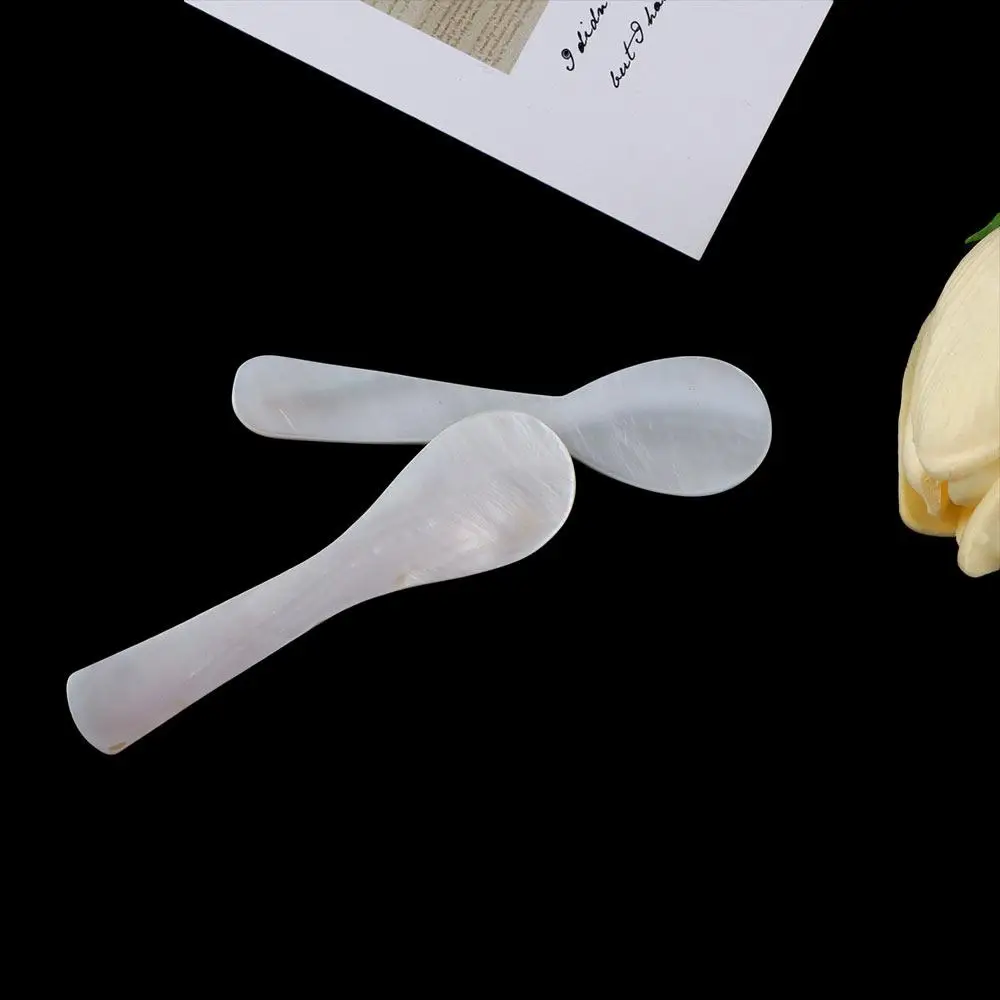 

Seashells Conch Natural Coffee Scoop Stirring Tool Teaspoon Caviar Spoons