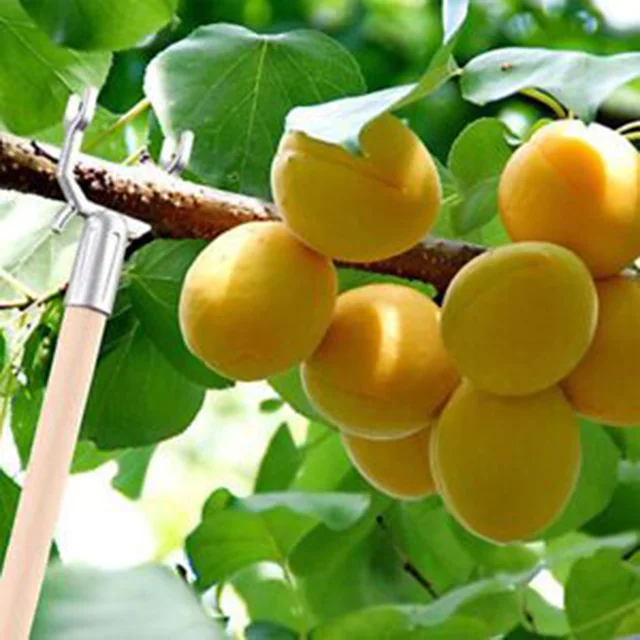 8 Pcs Fruit Tree Branch Támogató Varó Head Bracket Ágak Dekoratív Garden Szerszám Kiegészítők - Image 6