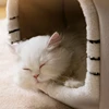 Foldable luxury pet house with detachable mat for winter warmth dog cave sofa pet bed house suitable for small medium-sized pets 4
