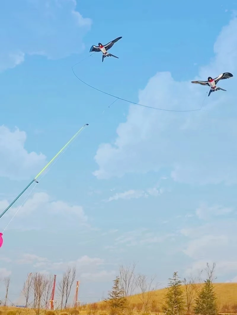 Mini Pole Swallow Kites for Adults - Dynamic Windsurfing Kites with Fishing Rod Line swallow kites
