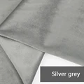 Silver Grey