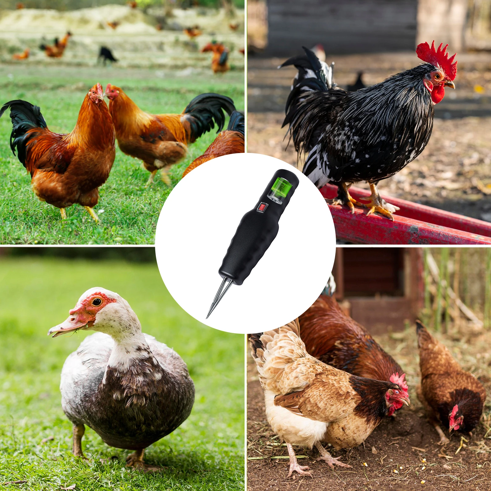 Waterproof Electric Hair Plucking Device chicken hair plucker Plug-in/Chargeble Models Feather Removal Machine Chicken Duck Goose Automatic Epilator