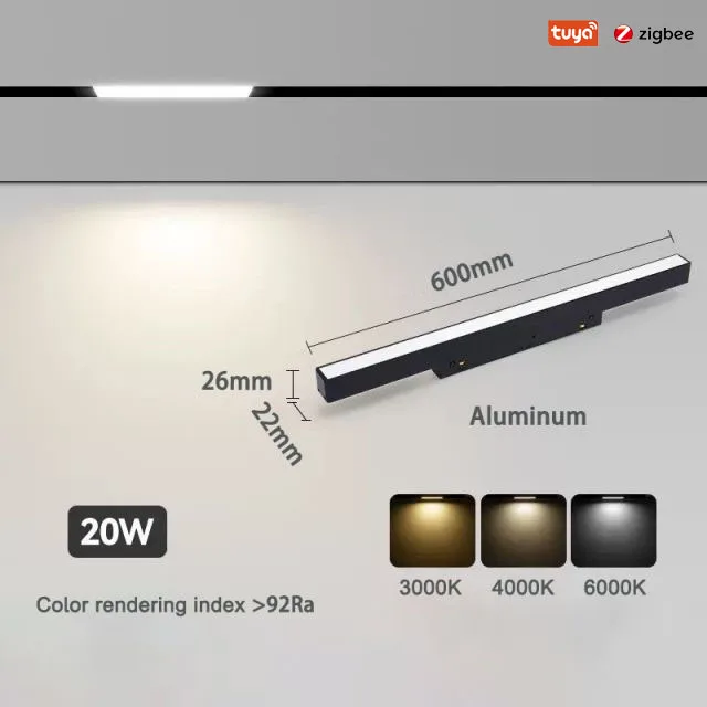 Floodlight 20W