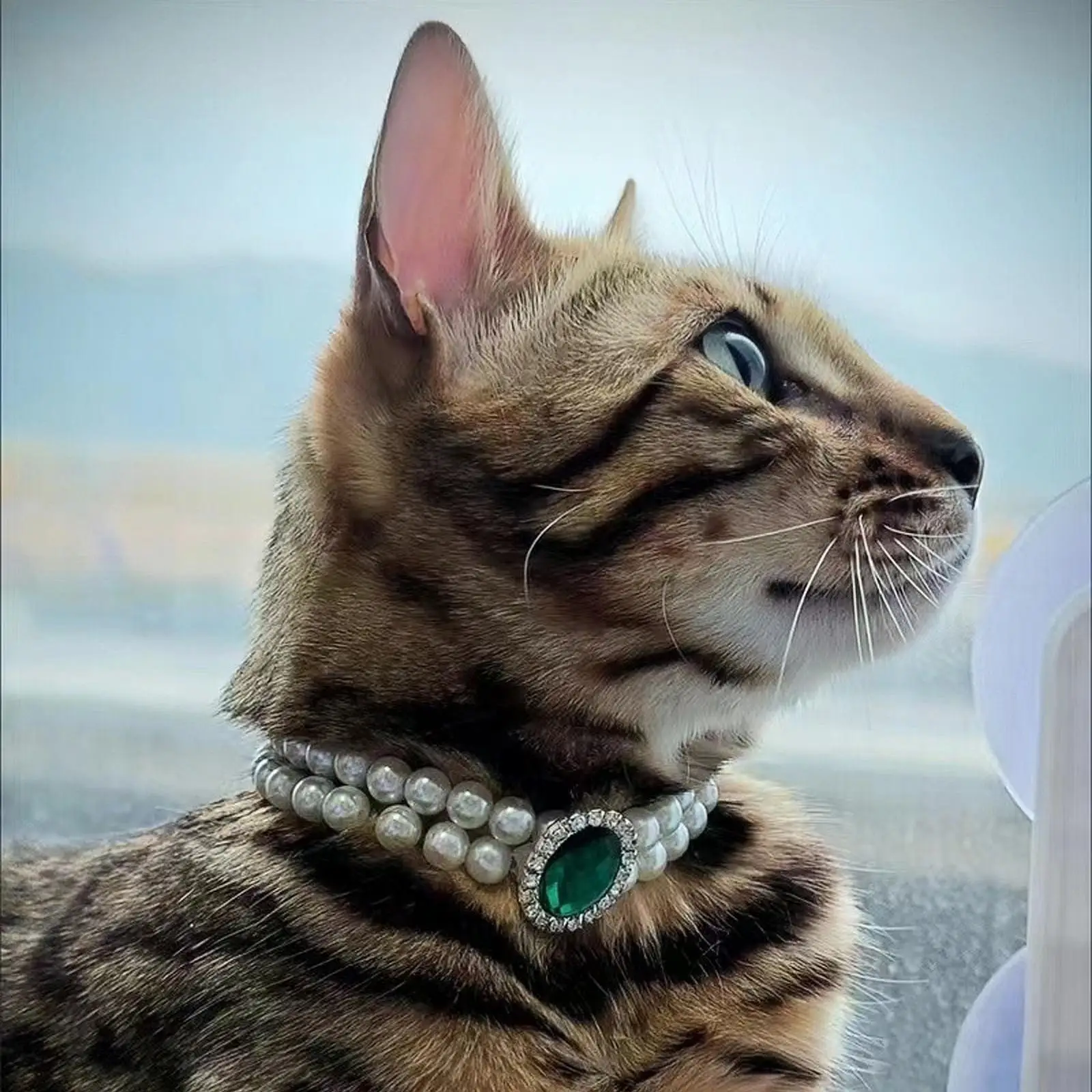 에메랄드 보석 진주 고양이 목걸이, 럭셔리 고양이 목걸이, 고양이 목걸이, 고양이 강아지, 여성 용품