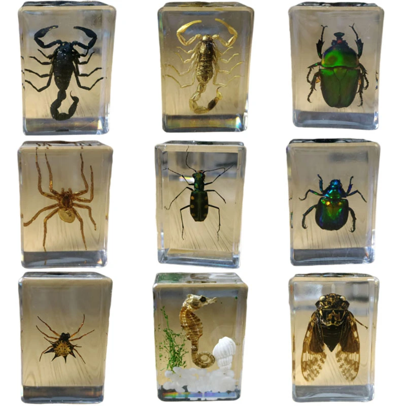 27 Kinds Hand Made Gutta Percha Resin Insect Transparent Amber Insect Specimens Home Decoration Small Ornaments miniature glass animal figurines