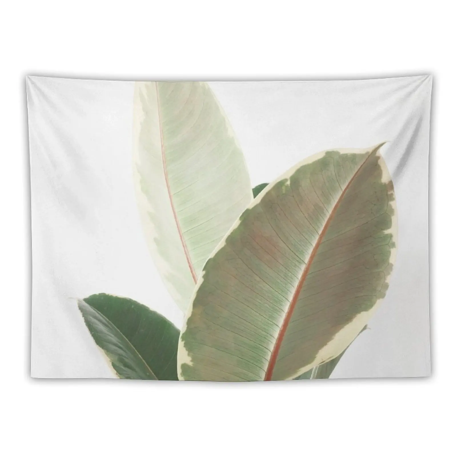 

Ficus Tineke Tapestry Cute Room Decor Decoration Room Room Ornaments Tapestry