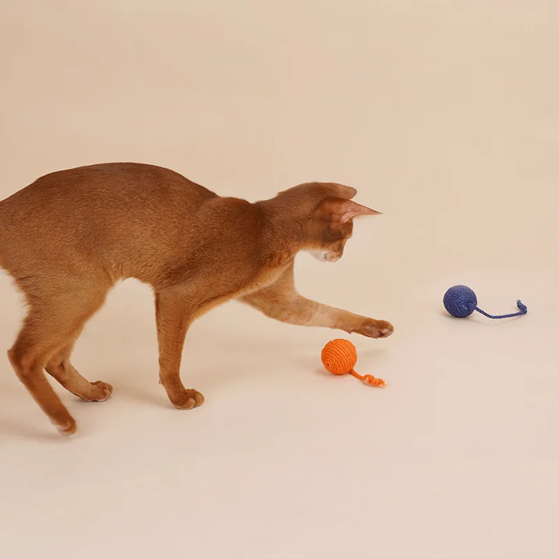 

Cat toy cat teasing and bite-resistant built-in ring stone stick anti-bite catnip ball cat toy set cat toy self-hitting kitten