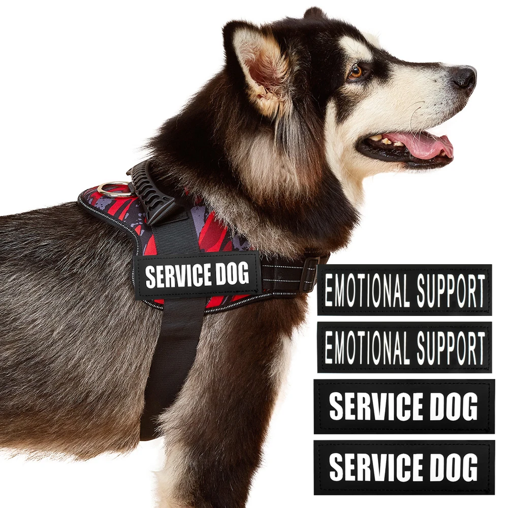 Emotional Support Corgi Service Dog For Sale Bulldog Corgi