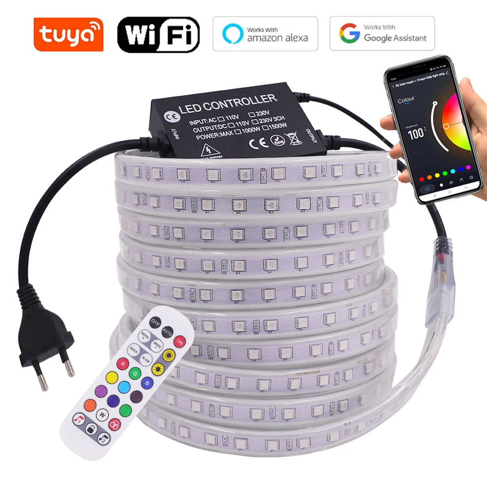 5050 RGB LED Strip 220V 110V Waterproof IP67 Outdoor Flexible Ribbon Neon  Light