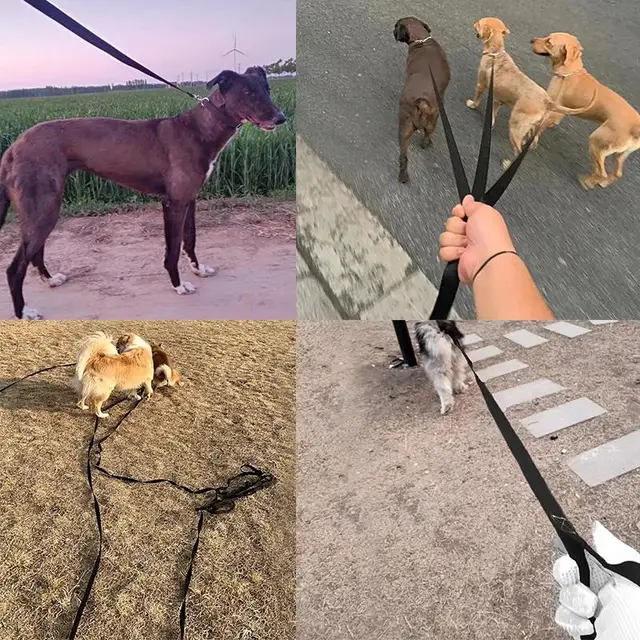 Long Nylon Dog Leash 6