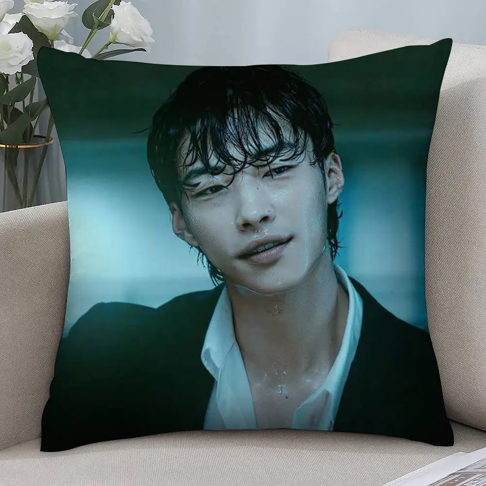 Woo Do H-Hwan Pillow Case Short plush Double-sided Print Square Throw Pillow Covers Sofa Home Cushion Decor