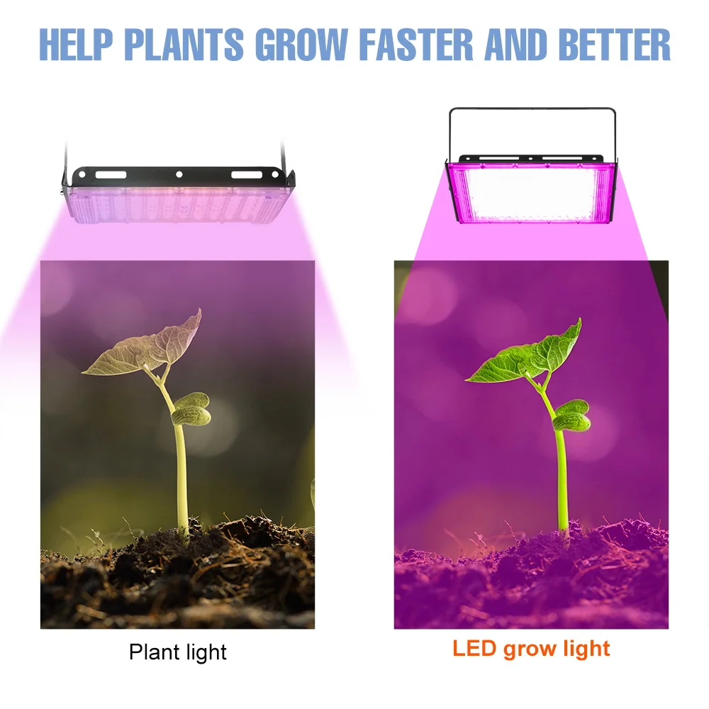 200W Full Spectrum LED Plant Grow Light Indoor Flower Seeds Hydroponic LED Phyto Lamp For Planting Vegetables Greenhouse Tents