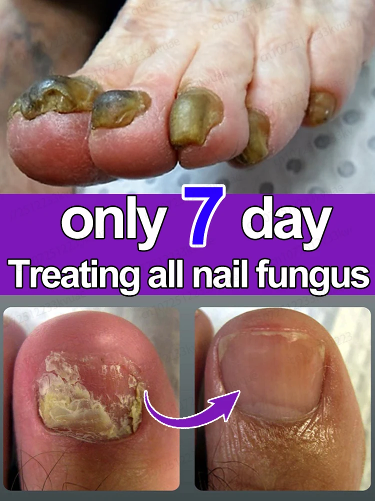 Slide image 00e7b062786d4c358ba5dd8b658e6804