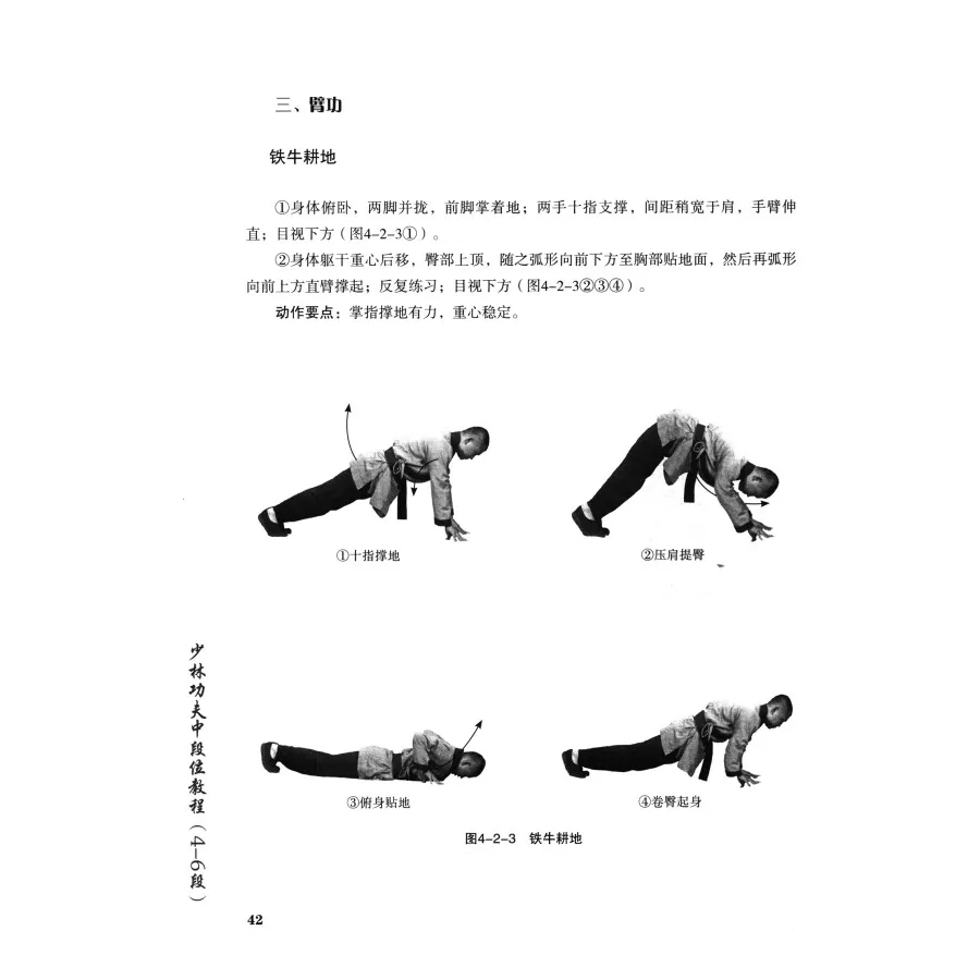 Martial Arts Shaolin Kung Fu Book Wu shu Tutorial in Chinese by Shi Yongxin