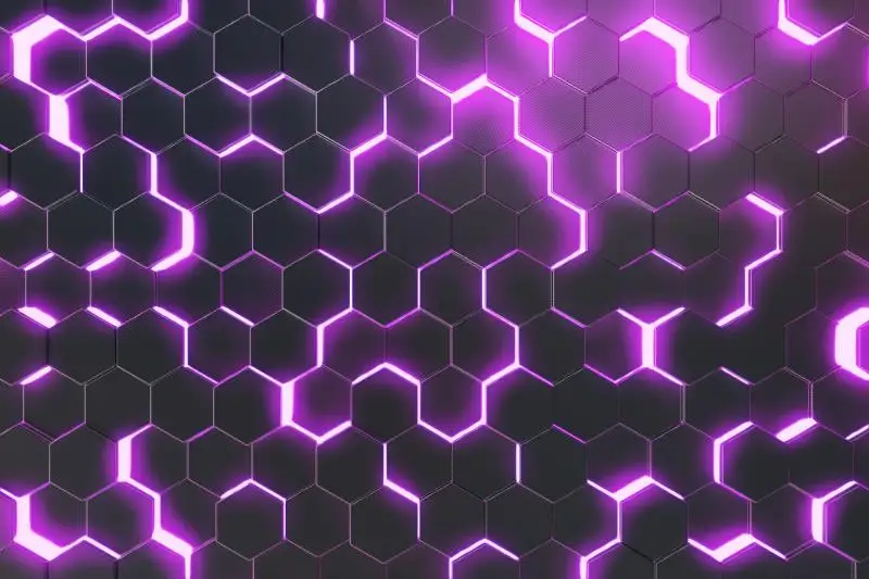 1005004495902653
