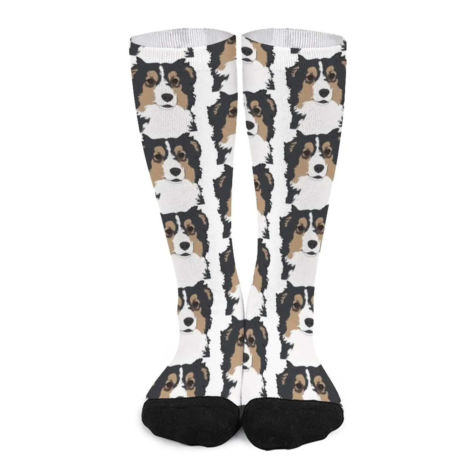 Black Tri Aussie Portrait / black tricolor Australian Shepherd dog Socks Stockings man compression stockings for Women the shepherd boy