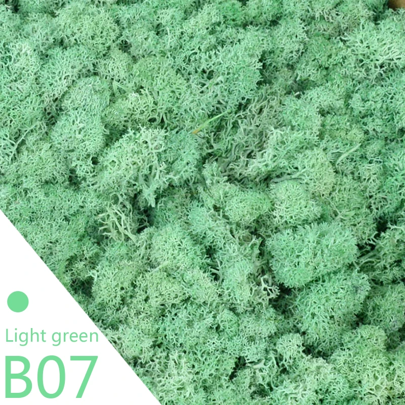 B07
