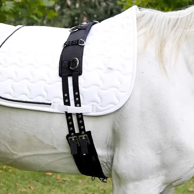 Horse Training Belly Strap Horse Saddles Harness Multifunctional Horse Riding Equipment Belly Strap Equestrians Supplies 3