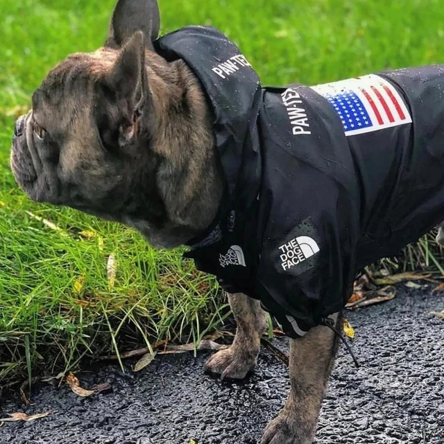 Windproof Dog Raincoat 6