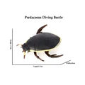 Beetle