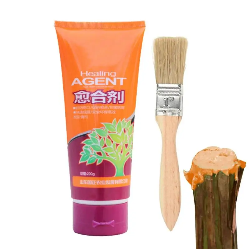 

Tree Wound Sealer 200g Bonsai Cut Paste Smear Agent Multifunction Tree Wound Healing Sealant With Brush Tree Repair Agent Tools