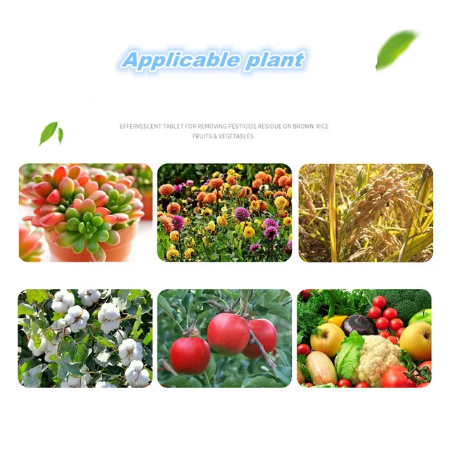 350 G Univerzális Összetett Vízben Oldódó Nitrogén Műtrágya Otthoni Kertészet Szerves Műtrágyák A Bonsai Számára - Image 6