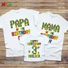 Birthday Party Shirt Family Matching Clothes Building Blocks Gaming TShirt Custom Name Dad Son T Shirt Baby Kids Name T Shirts 1