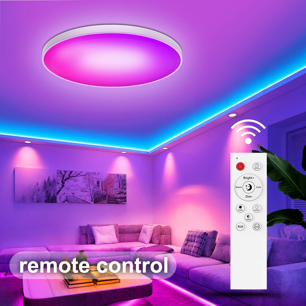 Smart Modern Ceiling Lamps 110V 220V 24W 30W RGB CCT Smart Home Led Lights S0ea490de8df44a2dbf6519dc6a5ade2eg