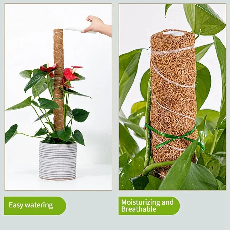 Description Picture 5 of itemHorticultural Coconut Palm Stick Green Luo Potted Plant Fixed Plant Climbing Rod Support Coconut Palm Climbing Rod Moss Rod