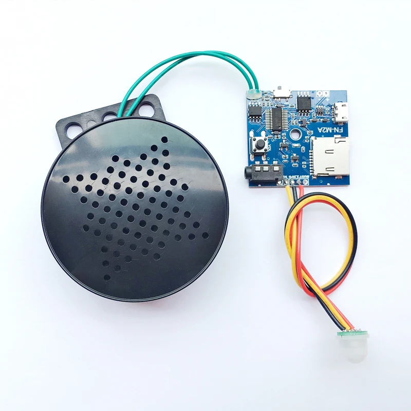Pir Motion Activated Speaker For Statue Motion Sensor Activated Voice Player Talking Payer For