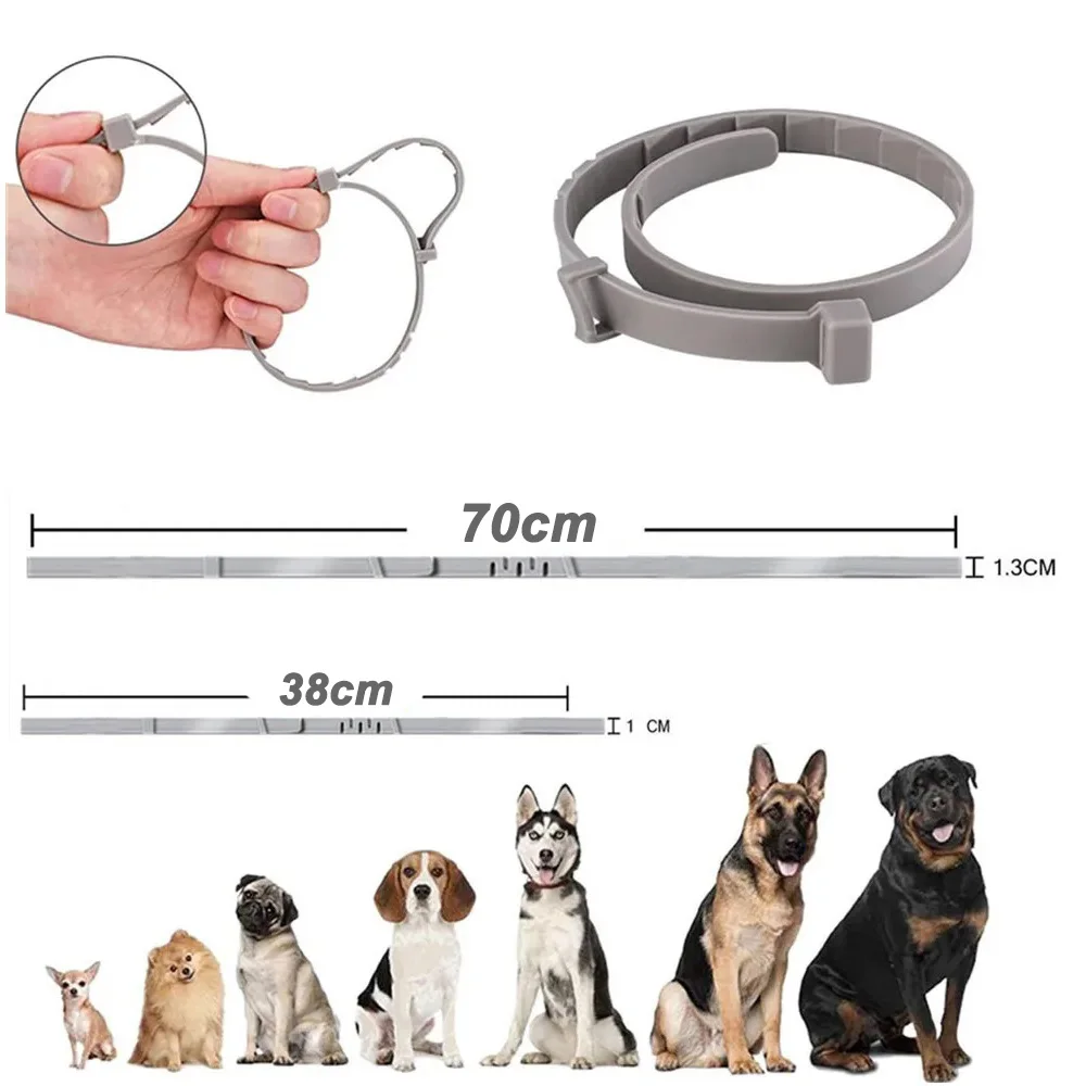 VIP Dog Collar 70cm 38cm Small Dogs Cats Adjustable Pet Items Accessories dog collar
