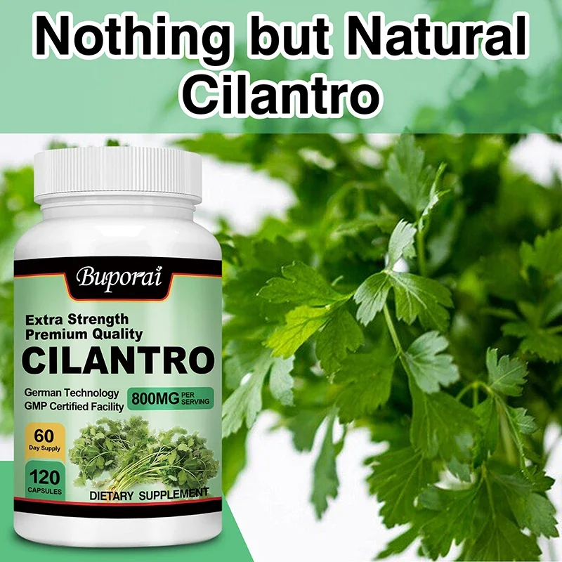 Cilantro Supplement Rich Source of Antioxidants Natural Cleansing Detox